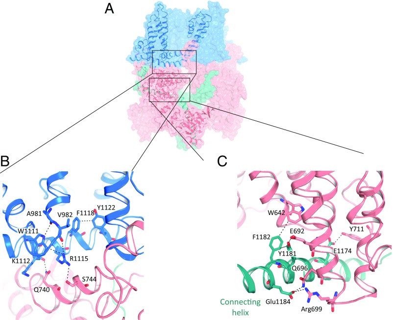 Fig. 4.