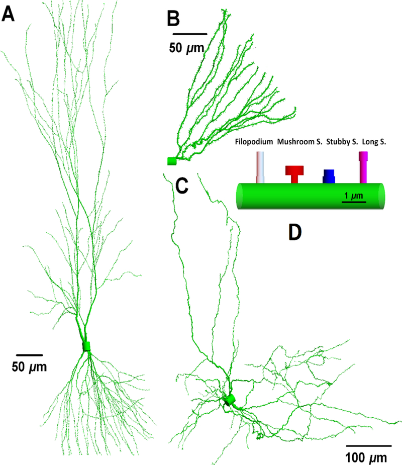 Figure 4.