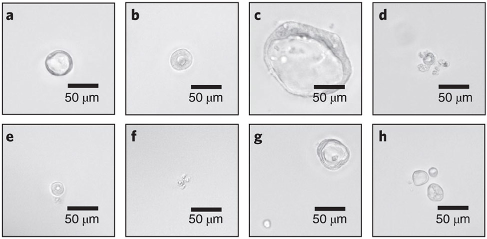 Fig. 4 ∣