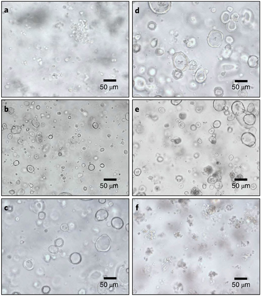 Fig. 3 ∣