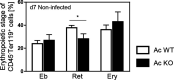 Figure 4—figure supplement 1.