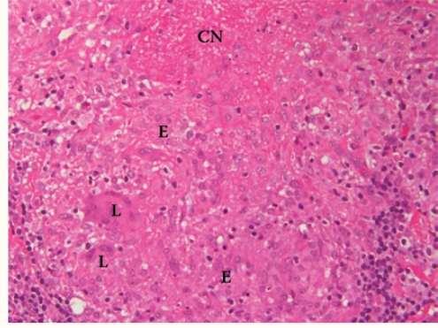 Figure 3b :