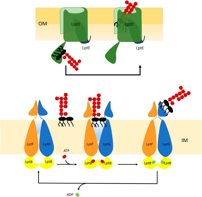 Figure 3.