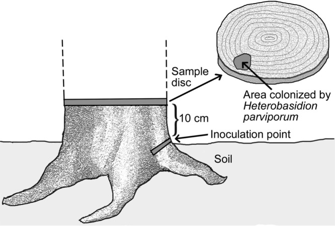 FIG 5