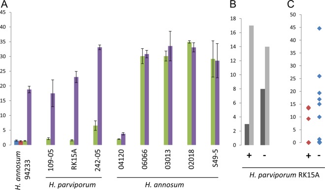 FIG 2