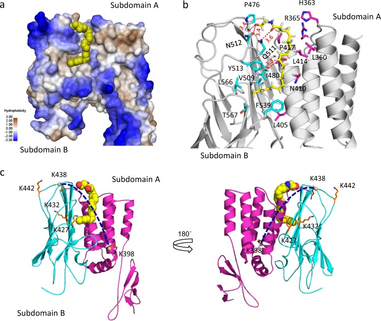 Fig. 4