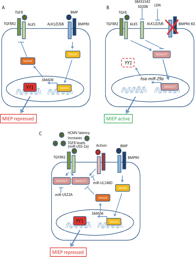 FIG 6