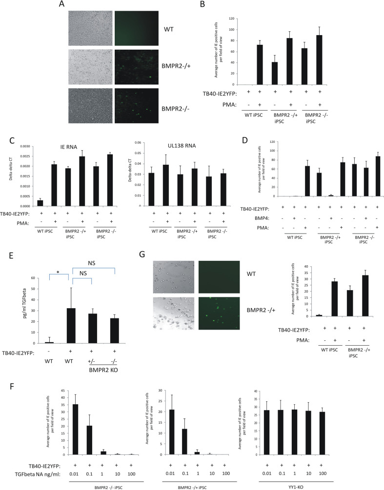 FIG 3