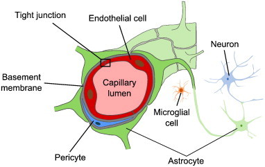 Fig. 1