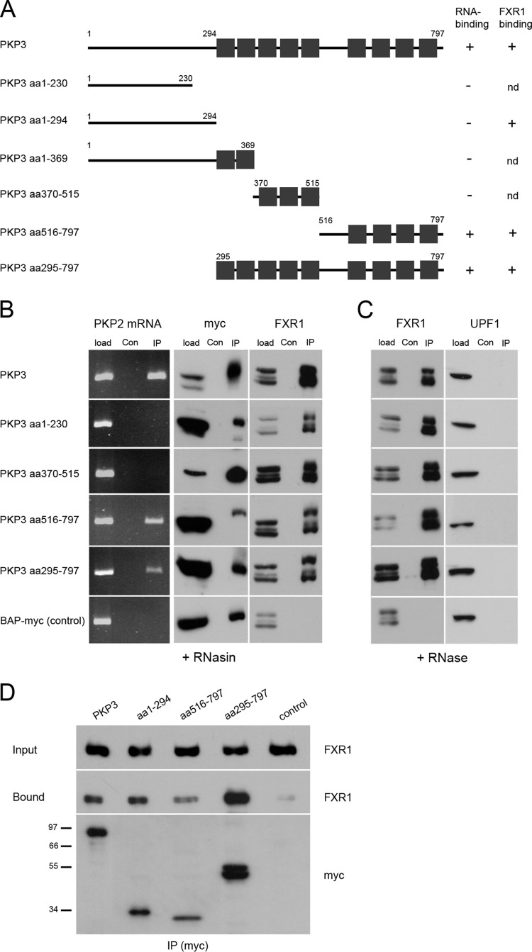 FIG 7