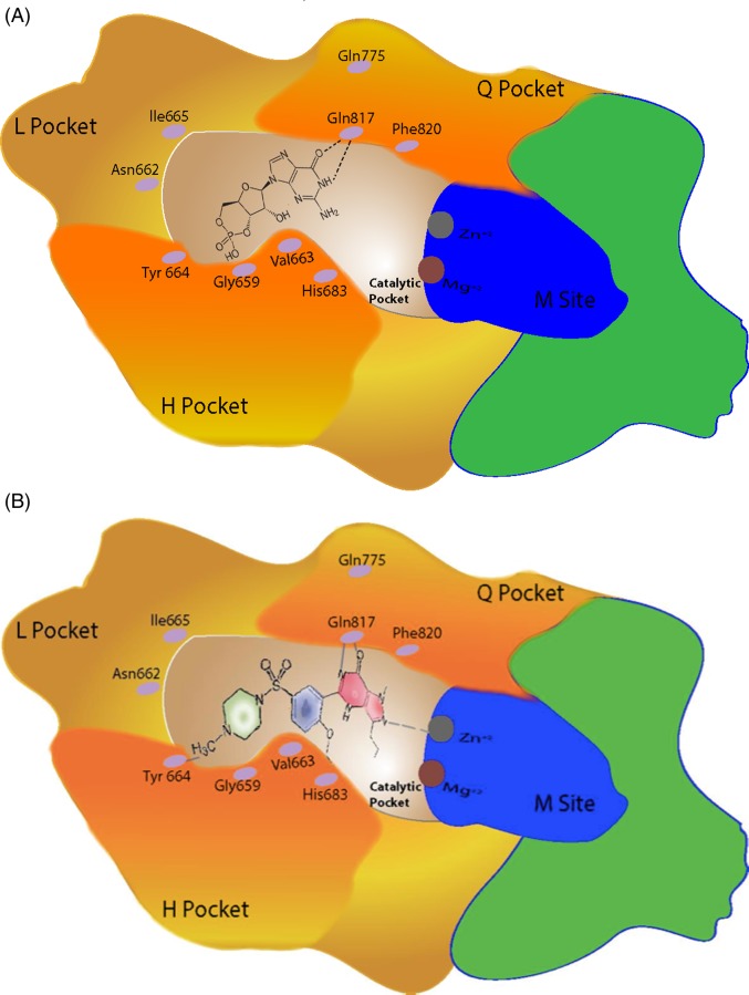 Figure 6.