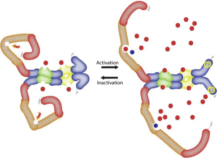 Figure 7.