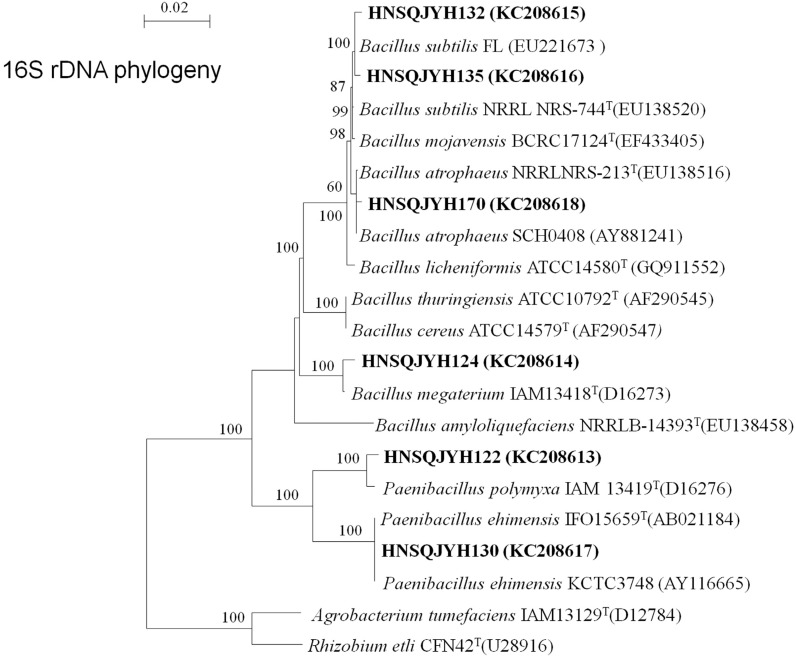 Figure 5