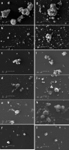 Fig. 4