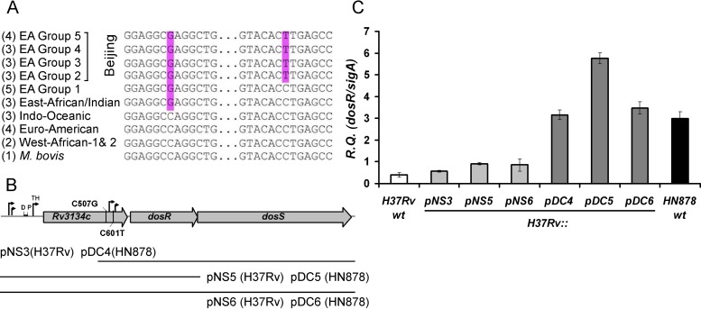 FIG 2