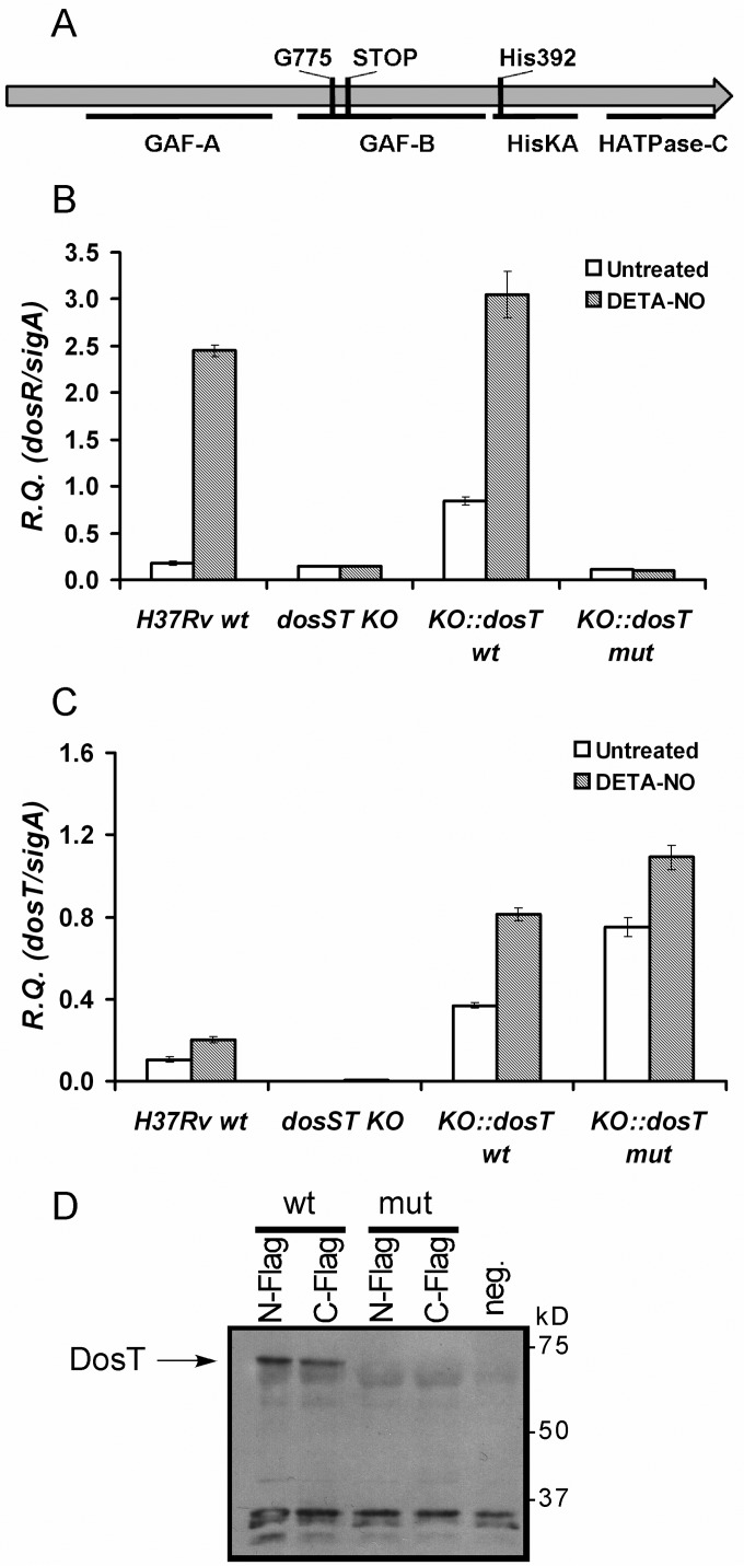 FIG 5