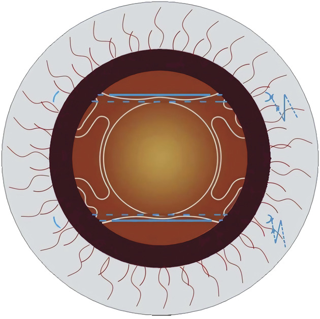 Fig. 1.