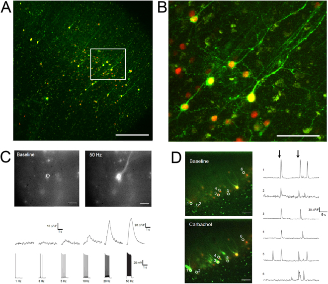 Figure 6