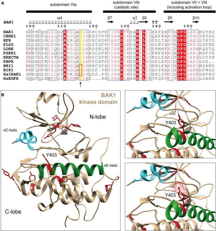 Figure 3.