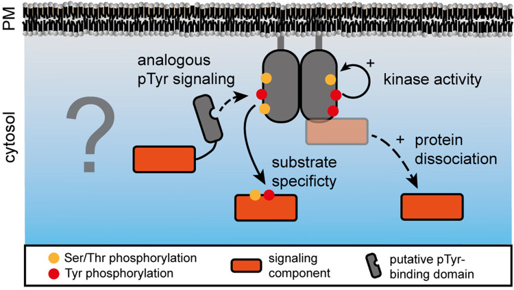 Figure 5.