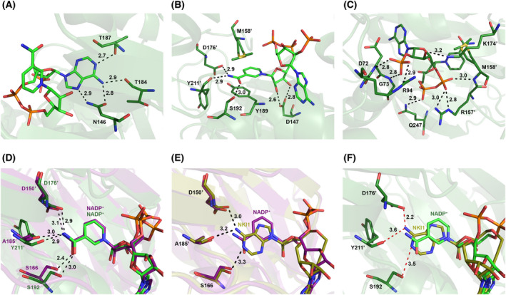 Fig. 7