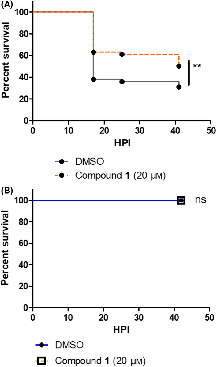 Fig. 10