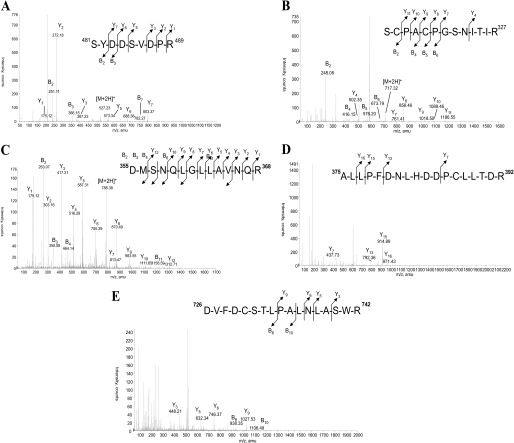 FIGURE 2.