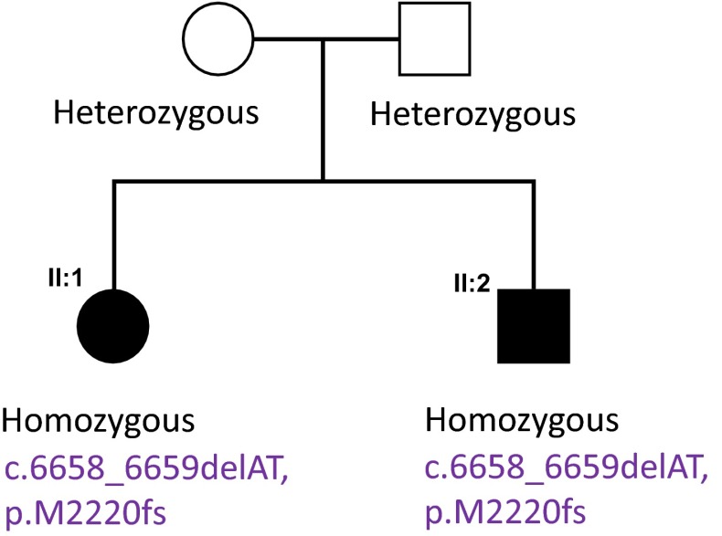 Fig. 4