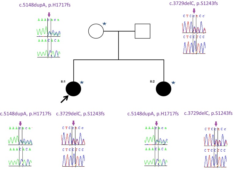 Fig. 3