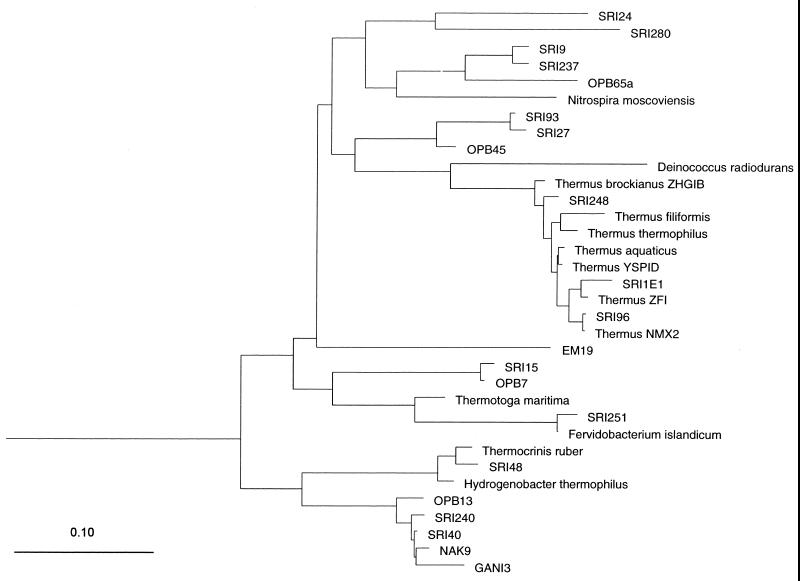 FIG. 1