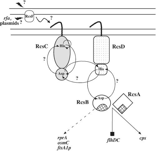 FIG. 6.