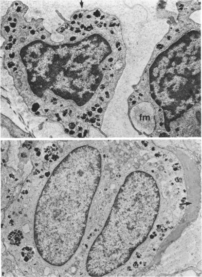 FIGURE 43