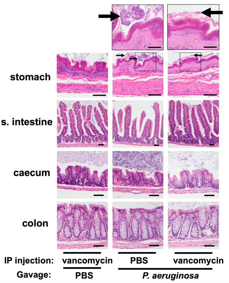 Figure 2: