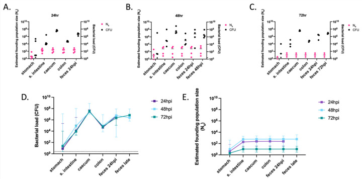 Figure 5: