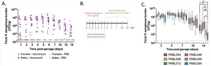 Figure 1: