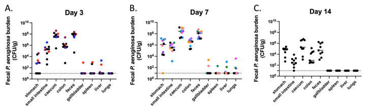 Figure 3: