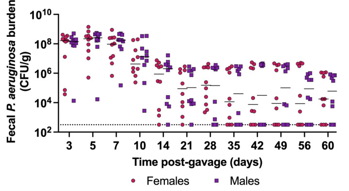 Figure 4: