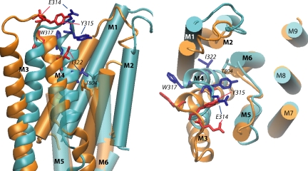 Figure 7.