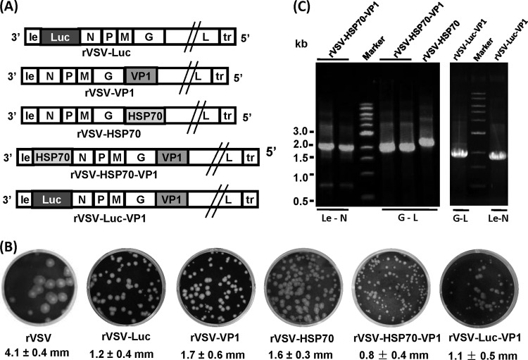 FIG 1