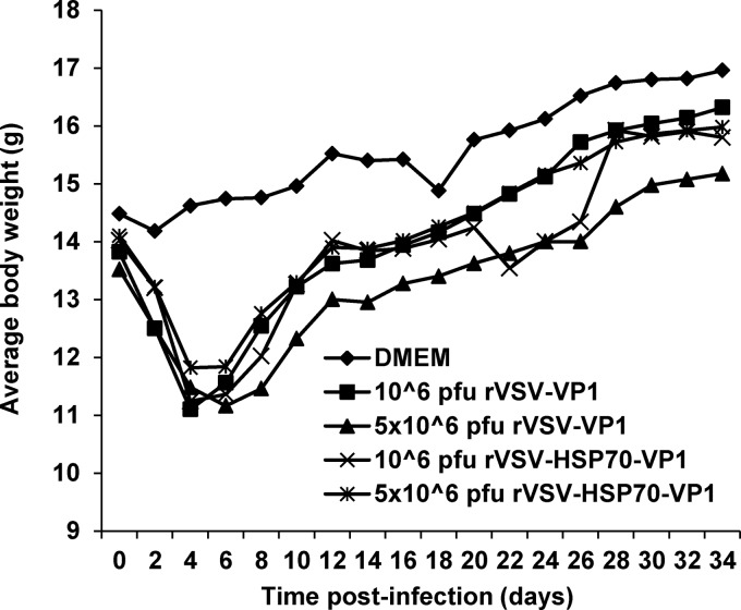 FIG 6