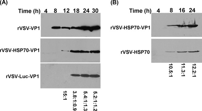 FIG 3