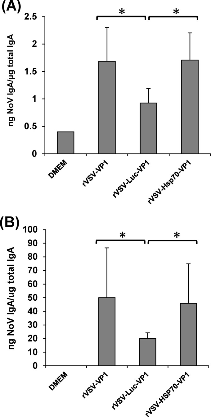 FIG 13