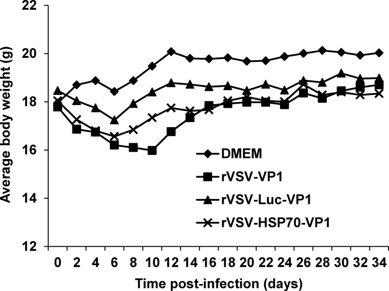 FIG 12