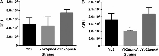 FIG 4