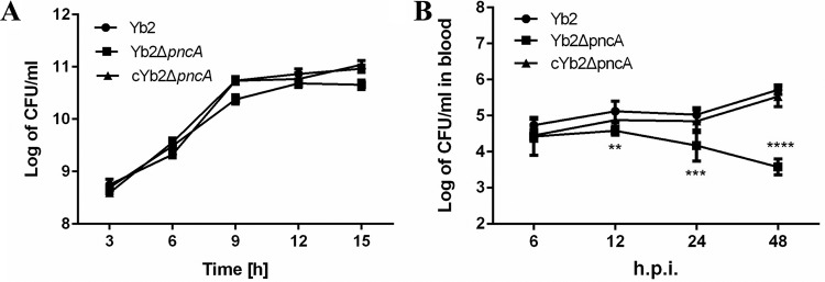 FIG 5