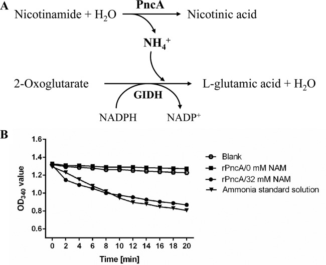 FIG 2