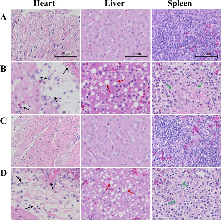 FIG 6