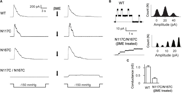 FIGURE 3