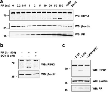 Fig. 3