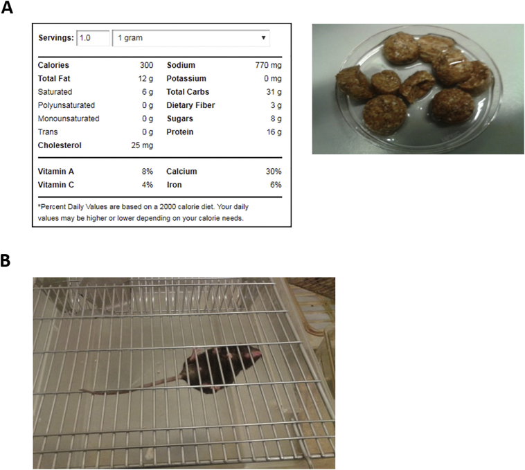 Supplementary Fig. S1